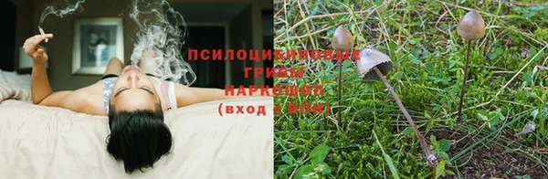 каннабис Бородино