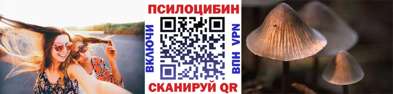 Псилоцибиновые грибы мицелий  Купить где  Менделеевск 